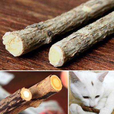Cat Cleaning Teeth Pure Natural Catnip Pet Cat Molar Toothpaste Stick Snacks