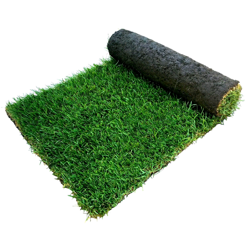 Turf (Rolls of Real Grass) 1 sq mt in Culcheth, Cheshire Gumtree