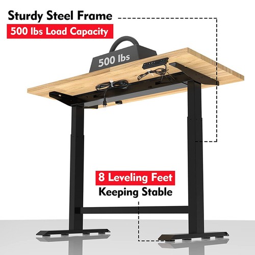 48" Electric Standing Desk, Height Adjustable with 48"x24" Wooden Top&Dual Motor