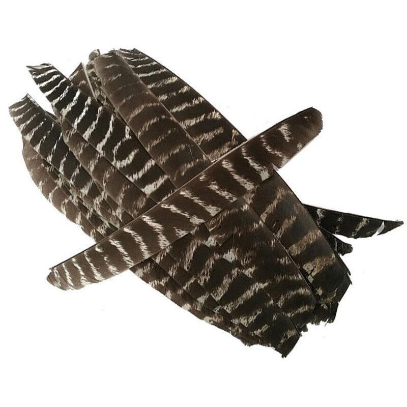 Pfeilfedern Naturfedern Volle LÃ¤Nge BogenschieÃEn Befiederung Diy Pfeile Rw Lw