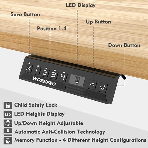 48" Electric Standing Desk, Height Adjustable with 48"x24" Wooden Top&Dual Motor