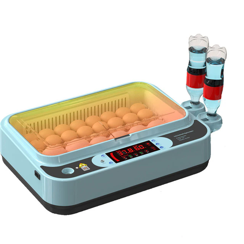 220V Eggs Incubator Brooder Bird Quail Incubator Chick Hatchery Incubator Poultr