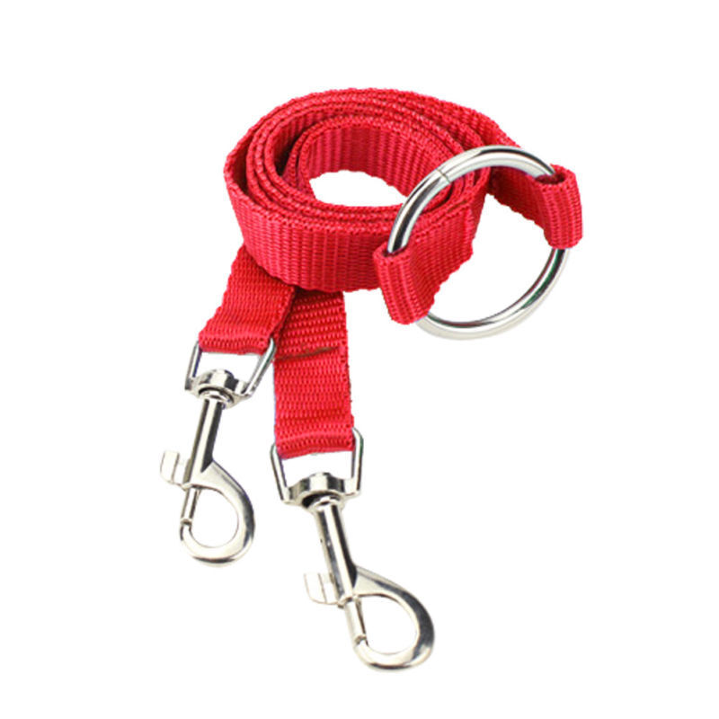 doppelleine hund