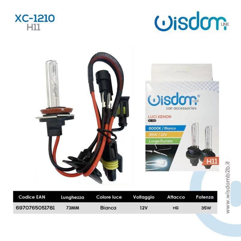 2 Lampadine H11 Luci Xenon Bianco Auto 35W Lampade 6000K Xc-1210 wis