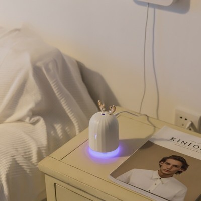 Fully Automatic Cactus Humidifier Water Mist Aromatherapy Sprayer Device 220ML