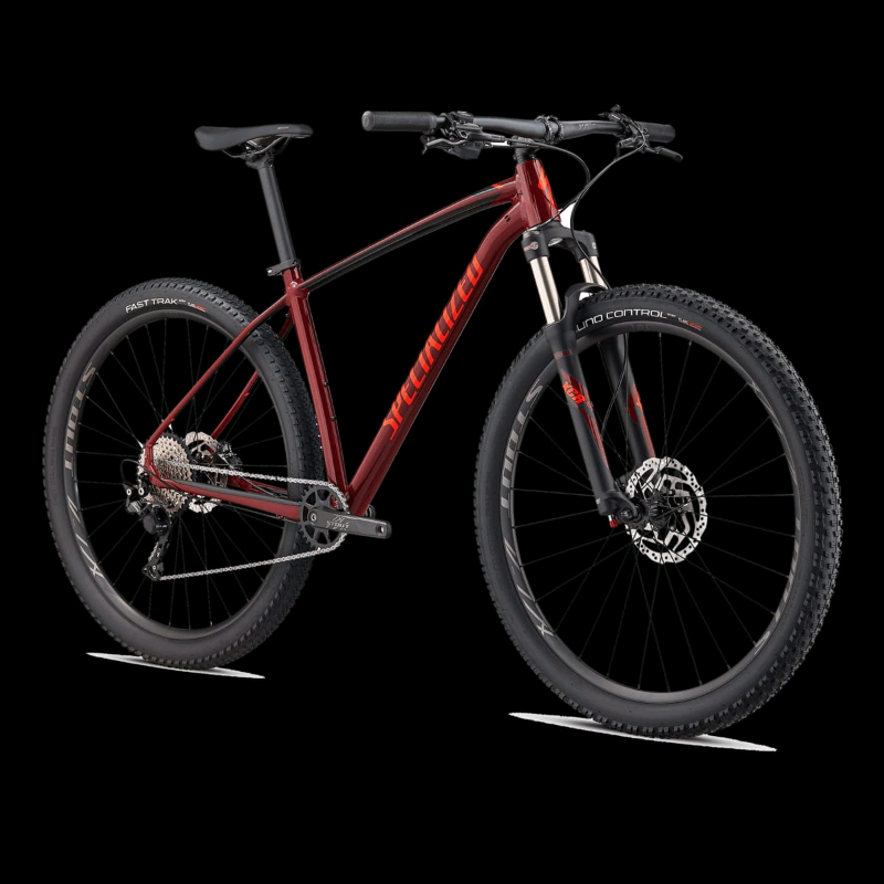 specialized rockhopper bikepacking