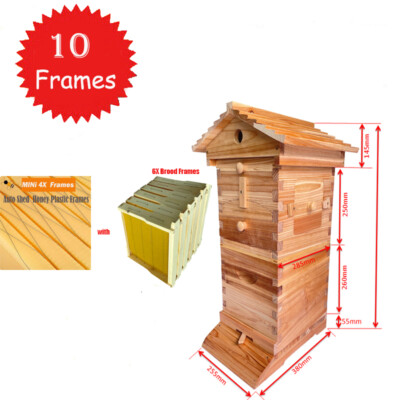 10X Upgraded Auto Honey Mini Bee hive Frames + Beekeeping Brood Cedarwood Box