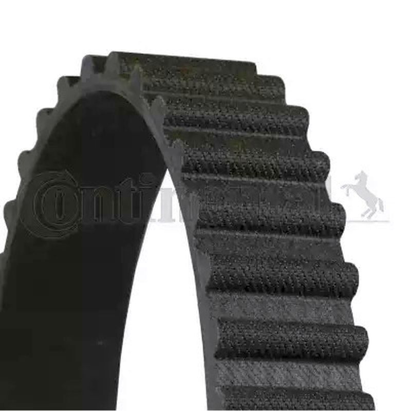 Original® Continental Ctam Ct775 Zahnriemen FüR Ford Escort V Escort Vi Sierra