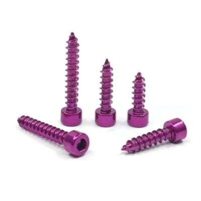M5 M6 Plated Purple SUS304 Allen Screw Hexagon Socket Cup Head Self-tapping Nail