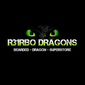 Bearded Dragon Superstore