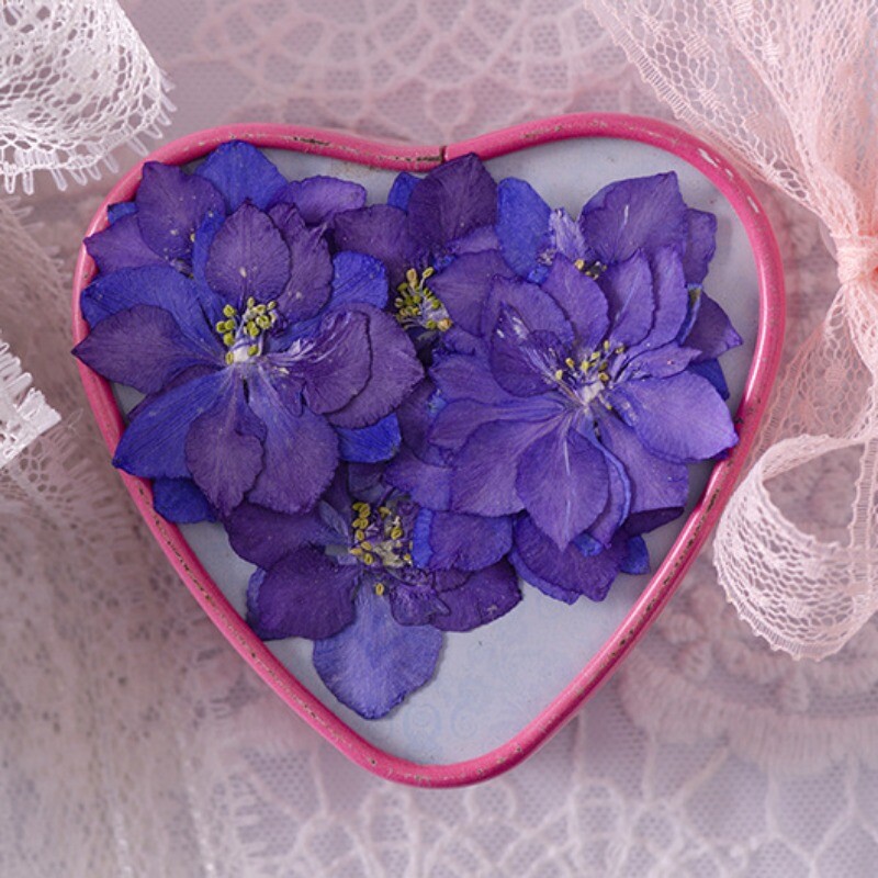 24x-multicolor-real-dried-flower-specimen-embossed-bookmark-painting-materials