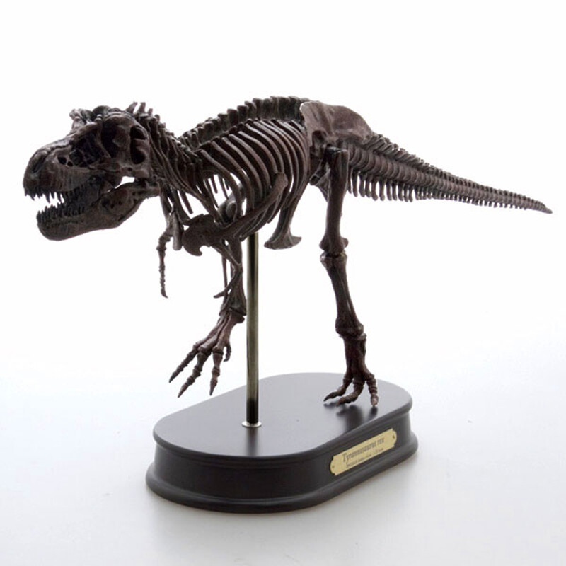 木彫　Tyrannosaurus rex 1/10　全身骨格模型 約97cm GLENCOE TYRANNOSAURUS REX SKELETON PLASTIC MODEL KIT (NEW IN