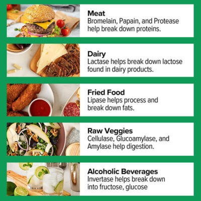 Digestive Enzymes Prebiotic & Probiotics Gas, Constipation & Bloating Relief
