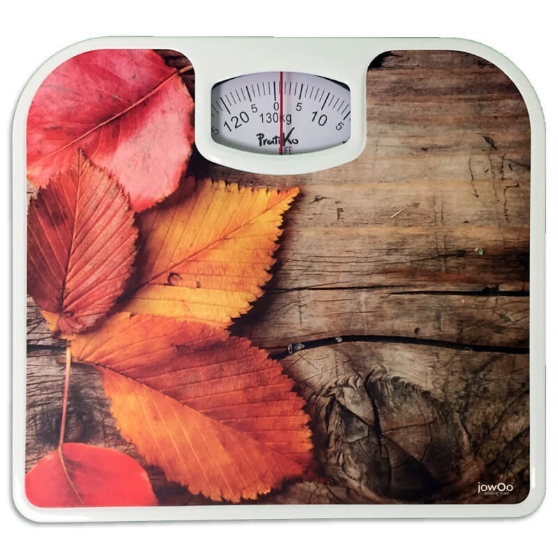 Bilancia Pesapersone Meccanica Pesa Persona Fantasia Natura Fino A 130kg dfh