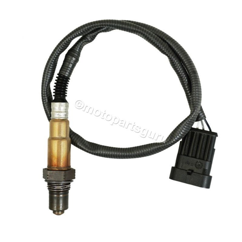 ヴィオラ Geminiano model10 2002 Amazon.com: AULINK 21212799 (NSK Bearing) Raw Sea Water Pump