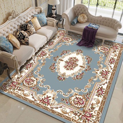 Printed Carpets for Living Room Area Rugs Entrance Door Mat Bedroom Home Decor