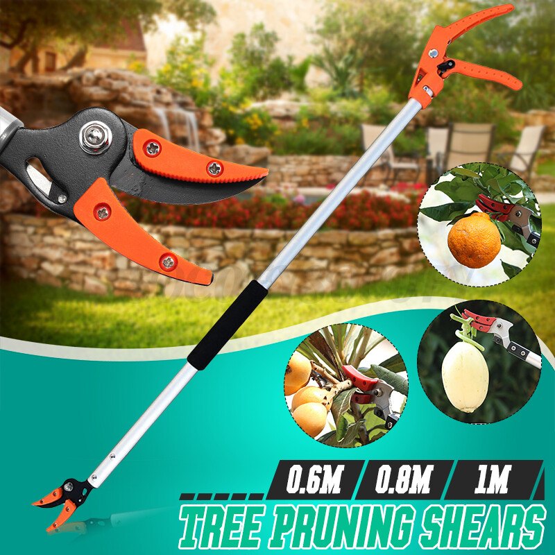 Fruit Picker Tree Pruner Shears Garden Tool Branch Long Reach Limb Cutter 1/2 in