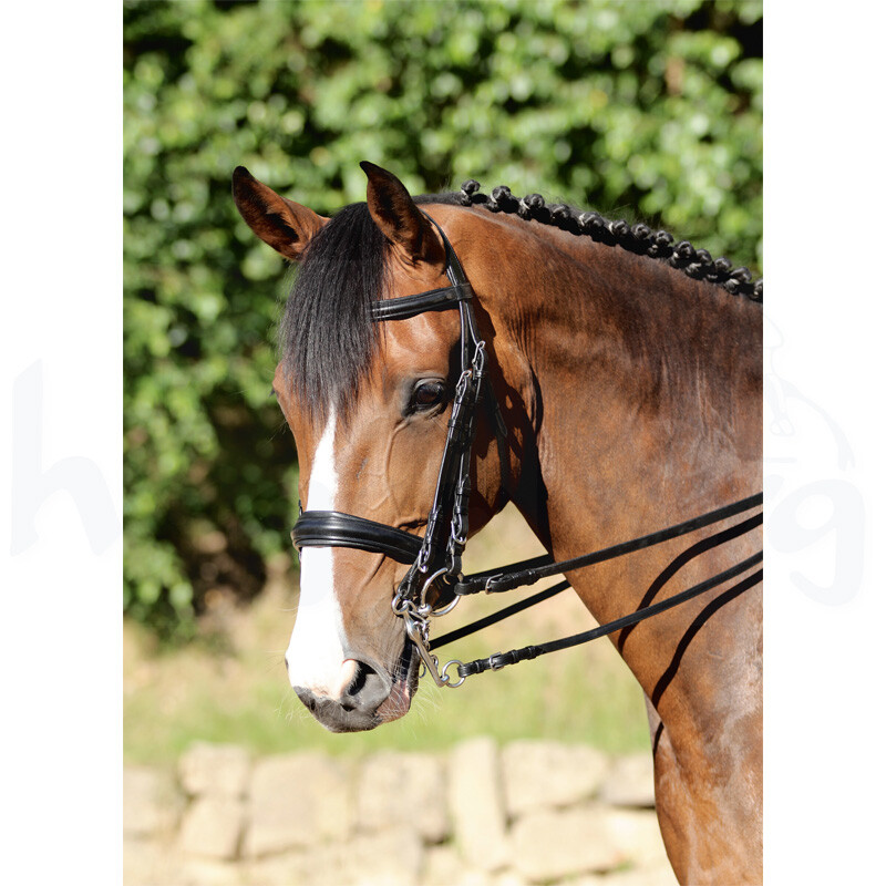 Kandarenzaum Philadelphia mit schwedischem Reithalfter