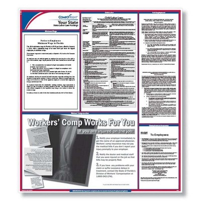 ComplyRight Nevada State Labor Law Poster, 24'' x 37'', Laminated, (Spanish) - 1