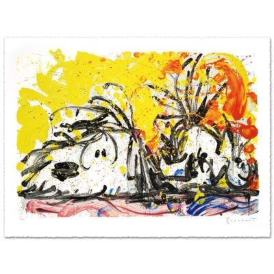 Tom Everhart Blow Dry Snoopy Dog HS/# Peanuts Woodstock