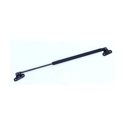 Liftgate Lift Support.