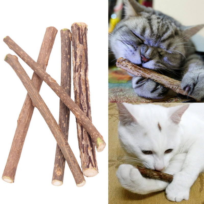 10/15/20 Matatabi Katzen Kauhölzer Catnip Snacks Sticks Katzenminze Zähne Gesund