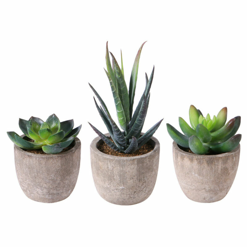 3x Artificial Fake Succulent Plant In Pot Mini Potted Plants