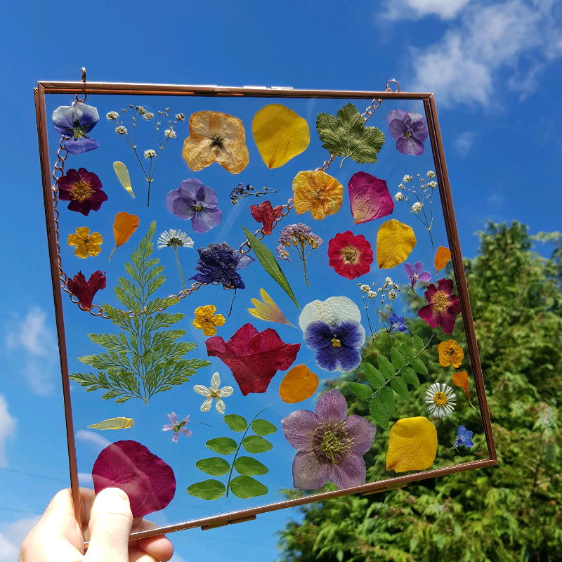 Handmade Pressed Flower Frames | in East End, Glasgow ...