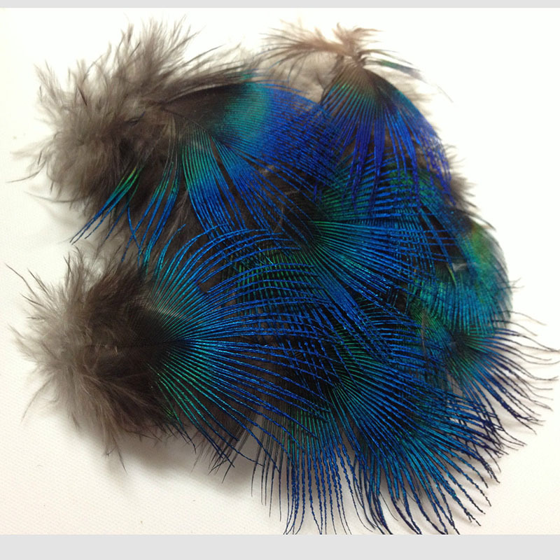 10pcs Set Beautiful Peacock Feathers For Diy Clothes Decoration