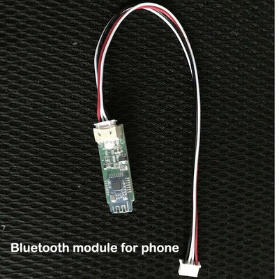 Smart Lifepo4 Protection BMS Match Communication Bluetooth Module For Phone ECA