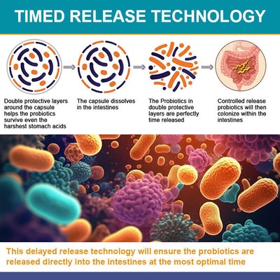 Probiotics Digestive Enzymes 120 Billion CFU Potency Immune Health 120 Capsules