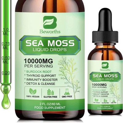 Organic Sea Moss Gummies | Drops - Irish Sea Moss, bladderwrack & Burdock Root