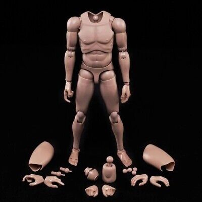 MX02-A 1/6 Scale Europe Skin Male Figure Body Model Toy Fit For Head with Neck