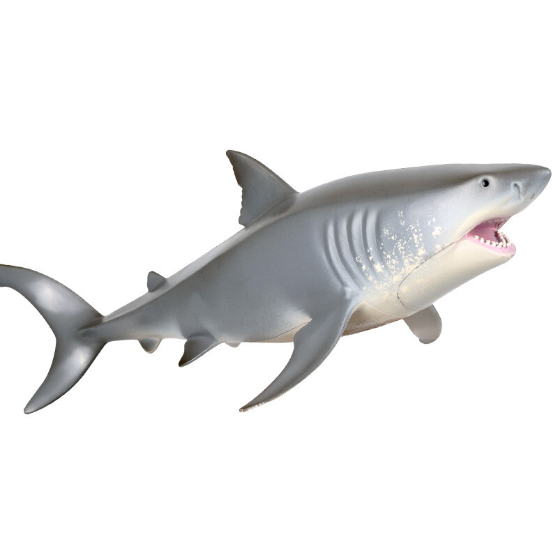 10" Great White Shark Megalodon Meg Model Figure Jaws Ocean Animal Toy Collector