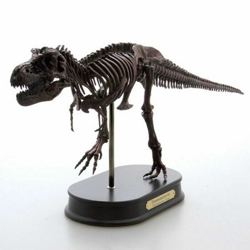 木彫 Tyrannosaurus rex 1/10 全身骨格模型 約97cm - メルカリ