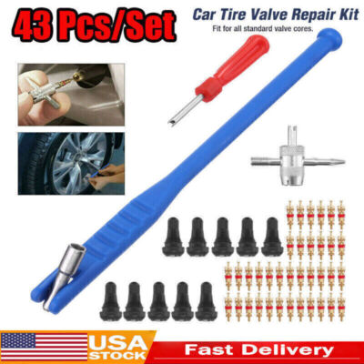 43X Tire Valve Stem installation Chrome Tool Puller Car Plug Core Remover Repair