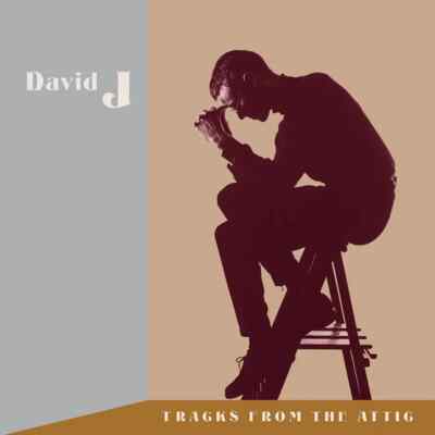 David J Tracks From The Attic RSDBF 2023 VINYL BRAND NEW