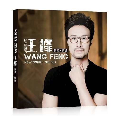 3 cds Chinese pop music CDs album Wang Feng 汪峰专辑 精选