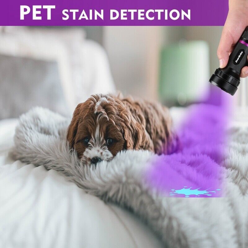 EverBrite 128 LED Black Light Flashlight UV Flashlights 395 nm Ultraviolet Light