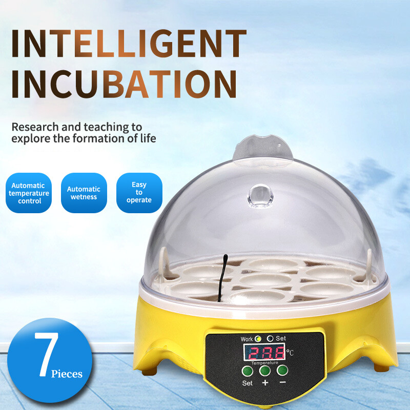 Chicken egg incubator for sale uk