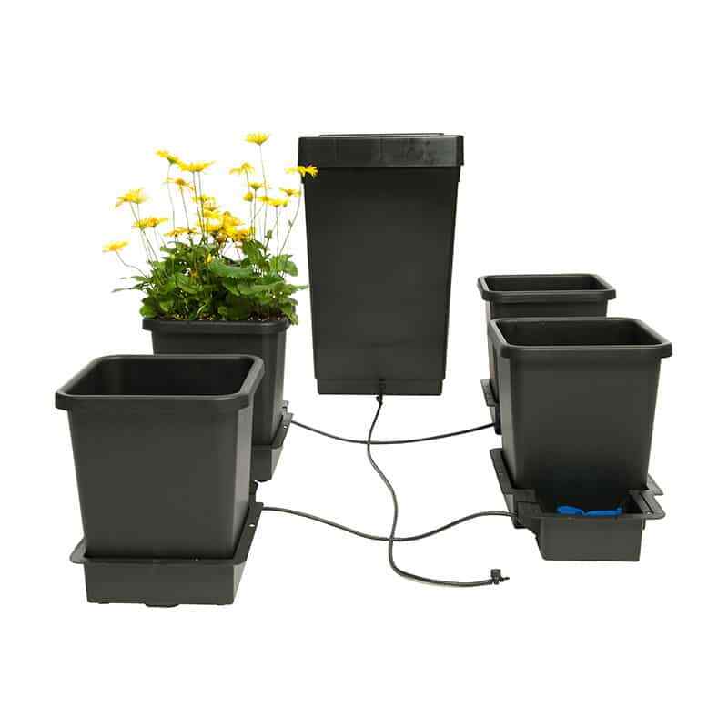 Autopot 4Pot System Hydroponik Bewässerungssystem
