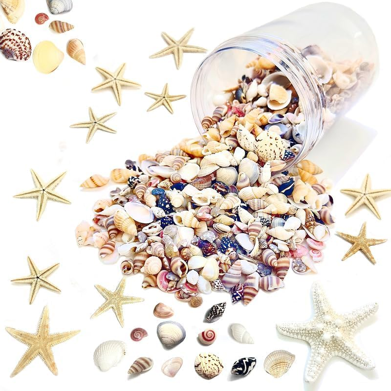 1100 PCS Sea Shells Small Natural Starfish Mixed Beach Snail Seashells Are Suita