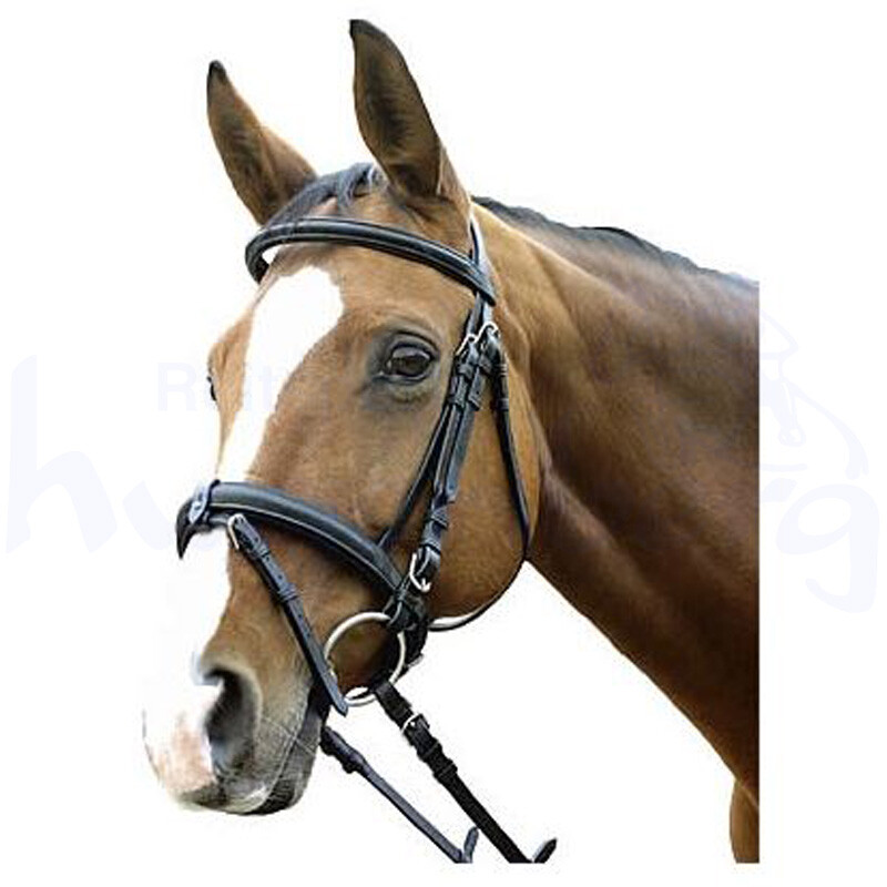 Euroriding Trensenzaum Ohio m. schwed. Reithalfter