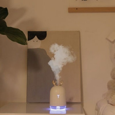 Fully Automatic Cactus Humidifier Water Mist Aromatherapy Sprayer Device 220ML
