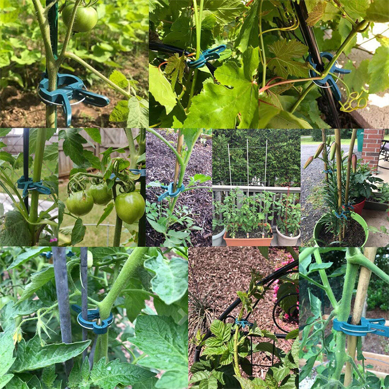200PC LARGE PLANT & GARDEN CLIPS Support Tomato Vegetable Trellis Twine Ties US