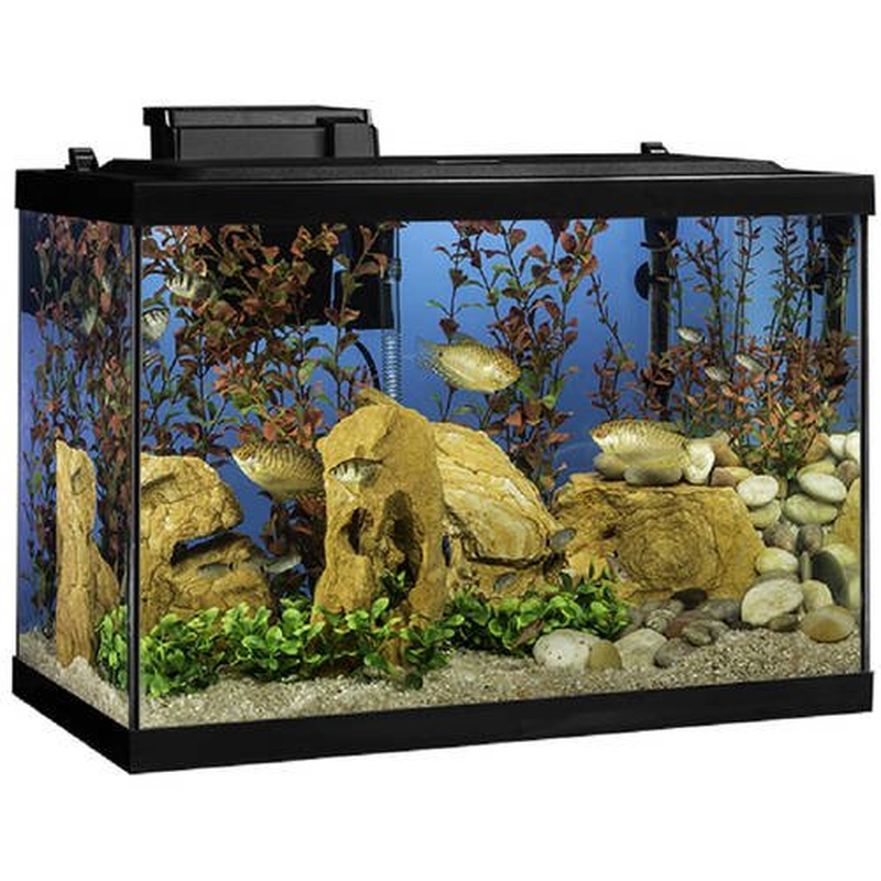 Fish Tank Aquarium Starter Kit Glass Rectangle LED Filter Heater Plant 20-Gallon