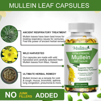 New Mulittea Mullein Leaf Capsules 1000mg  Support Lung Cleanse Capsules