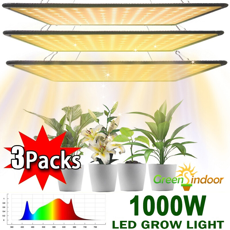 Indoor Hydroponic Plant Veg Growth
