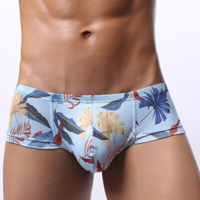 Mens Ice Silk Underpants Seamless Boxer Briefs Underwear Pouch Thong Panties US