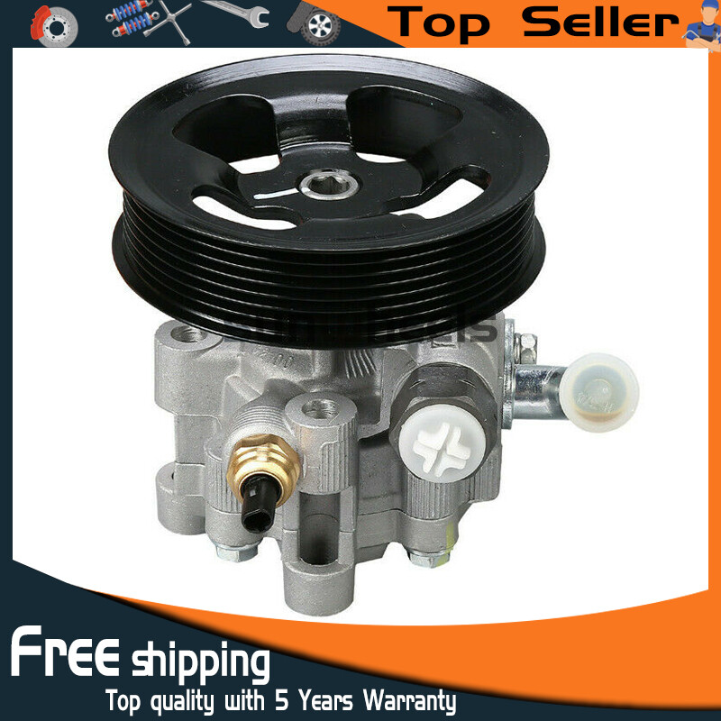 Power Steering Pump w/o Reservoir 44310-02101 for Pontiac